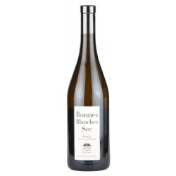 Domaine Ogereau Anjou blanc...