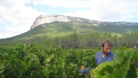 Château de Valflaunès