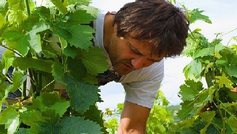 Domaine Christophe Peyrus