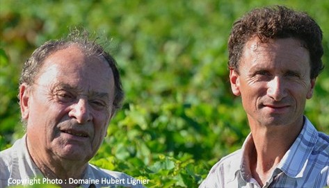 Domaine Hubert Lignier