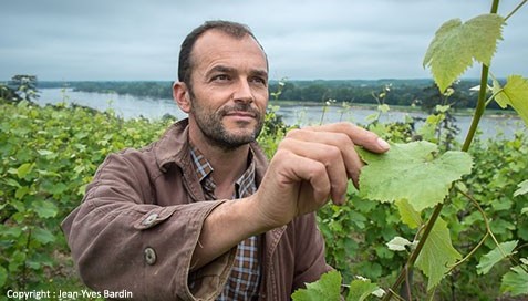 Domaine Eric Morgat